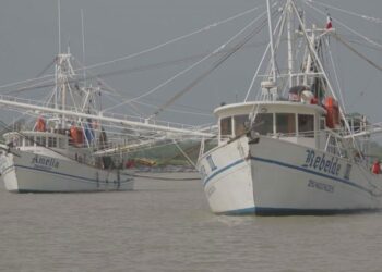 La flota camaronera de Tamaulipas, la más grande del Golfo de México