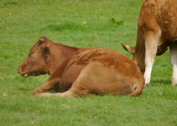 Amplían cerco sanitario en la frontera norte de Tamaulipas. Foto de Unsplash
