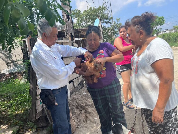 Aplicará Salud del Estado 300 mil vacunas a mascotas