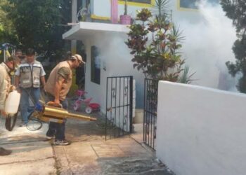 Fumigación permitió baja en proliferación del dengue en Tamaulipas | Foto: Web