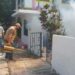 Fumigación permitió baja en proliferación del dengue en Tamaulipas | Foto: Web