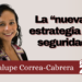 Guadalupe Correa | La “nueva” estrategia de seguridad