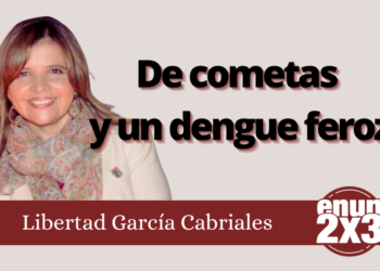 Libertad García Cabriales | De cometas y un dengue feroz