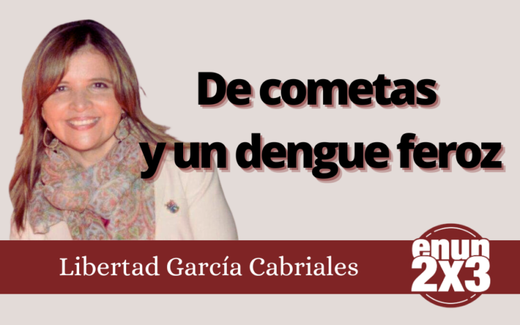 Libertad García Cabriales | De cometas y un dengue feroz