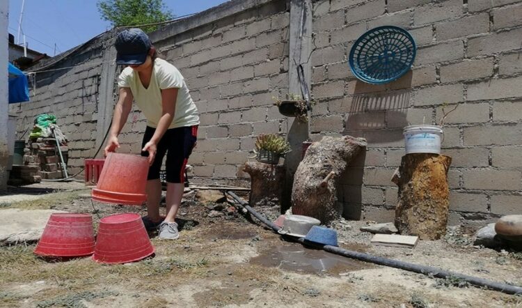 Reforzarán acciones para combatir el dengue
