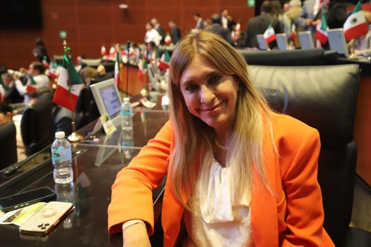 Maki Ortiz, senadora de Tamaulipas por el Partido Verde Ecologista de México.