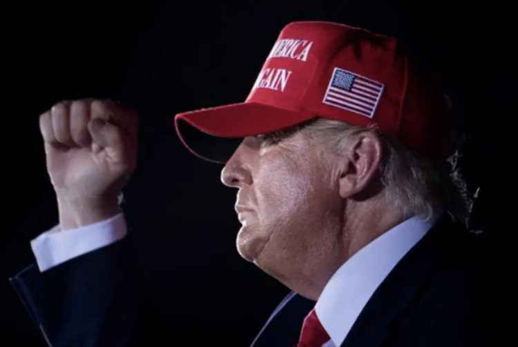 "No hay ningún motivo de preocupación": Sheinbaum sobre triunfo de Trump. Foto de X Donald Trump