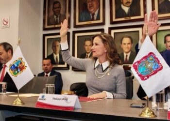 Asume Ninfa Cantú Deándar coordinación de la Región Noreste de AMSDE