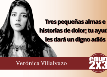 Verónica Villalvazo | Tres pequeñas almas e historias de dolor; tu ayuda les dará un digno adiós