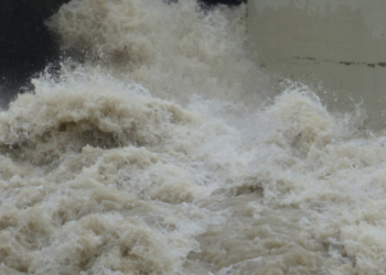 Dana, la palabra del año 2024. Foto de RAE