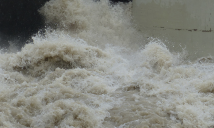 Dana, la palabra del año 2024. Foto de RAE