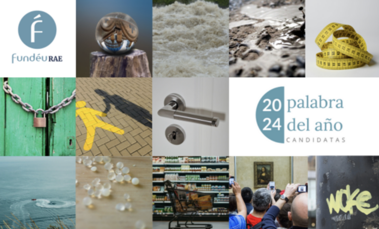 Estas son las candidatas a palabra del año según la RAE. Foto de Fundeu