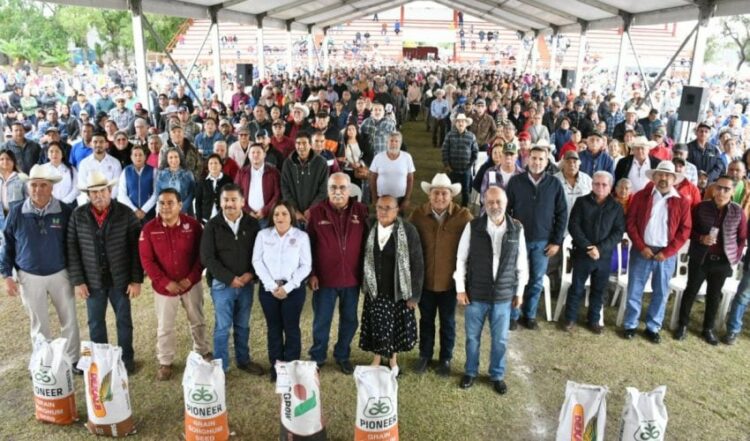 Reciben productores agrícolas de la zona norte de Tamaulipas semilla de sorgo y diésel