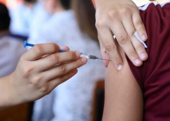 Salud ha aplicado más de 166 mil vacunas contra influenza en Tamaulipas | Foto : Web