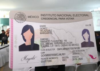 Credenciales de elector. Foto de INE