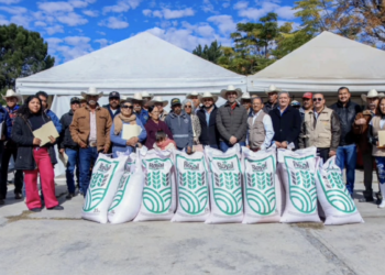 Detectan en la Secretaría del Bienestar en Coahuila posibles aviadores; harán limpieza. Foto tomada de video