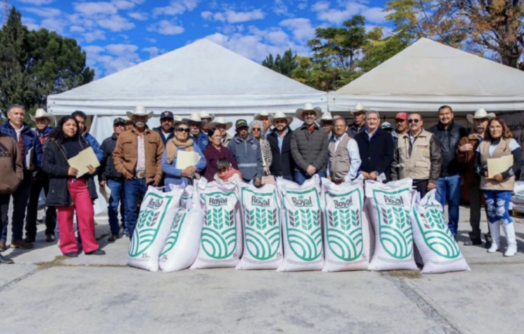 Detectan en la Secretaría del Bienestar en Coahuila posibles aviadores; harán limpieza. Foto tomada de video