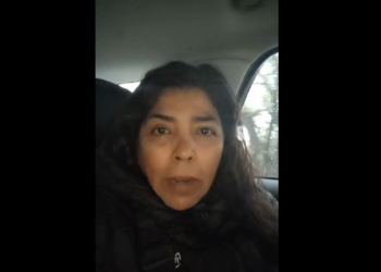 La FEADLE defiende muy bien al fiscal de Tamaulipas, denuncia Frida Guerrera. Foto tomada de video