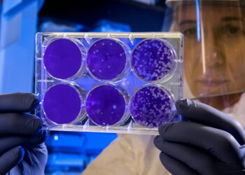 Virus HMPV detectado en China no representa riesgo en México. Foto de Unsplash