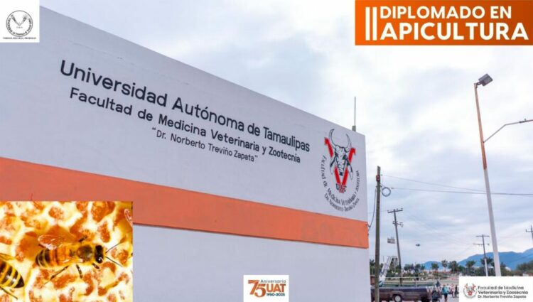 Impartirá la UAT un diplomado en Apicultura en la Facultad de Medicina Veterinaria