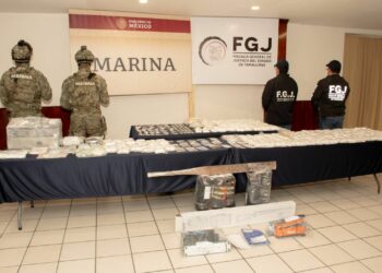 Decomisan en Altamira más de 22 mil dosis y más de 600 animales exóticos. Foto de FGJT