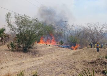 Brindarán apoyos a productores afectados por incendios