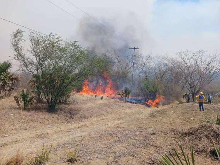 Brindarán apoyos a productores afectados por incendios