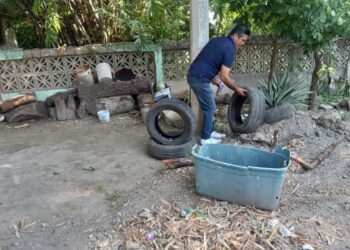 En lo que va de 2025 se registran 159 casos de dengue Tamaulipas. Foto de Secretaría de Salud