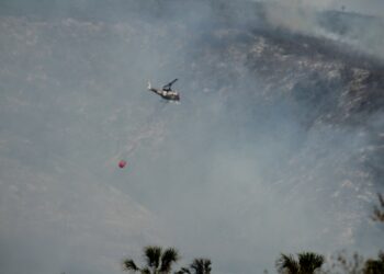 Fiscalía inicia carpetas de investigación por incendios en Tamaulipas. Foto de Gobierno de Tamaulipas