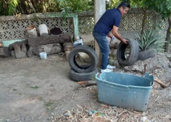 Exhorta Salud a la población a prevenir y combatir el dengue