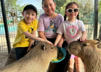 Amplían Horarios de Zoológico de Nuevo Laredo por Semana Santa