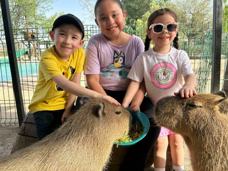 Amplían Horarios de Zoológico de Nuevo Laredo por Semana Santa