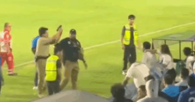 Liga de Expansión investiga trifulca en partido del Celaya contra Tampico-Madero. Foto tomada de video