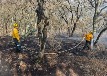 Implementan acciones ante incendios forestales en Tamaulipas | Foto : CONAFOR