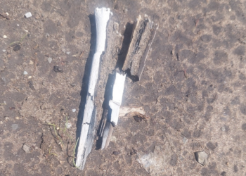 Localizan fosas con 10 cadáveres en el Ejido La Rosita, en Reynosa. Foto de Facebook Lazos Unidos Por Encontrarlos