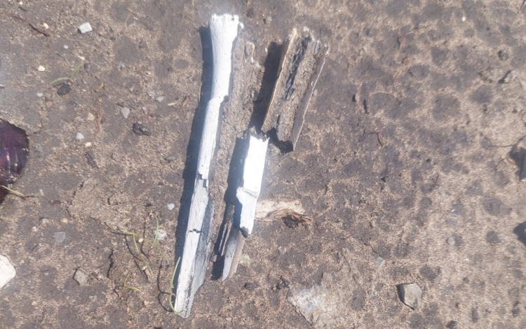 Localizan fosas con 10 cadáveres en el Ejido La Rosita, en Reynosa. Foto de Facebook Lazos Unidos Por Encontrarlos