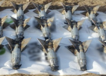 Más de 2 mil personas detenidas en Operación Frontera Norte. Foto de SSPC