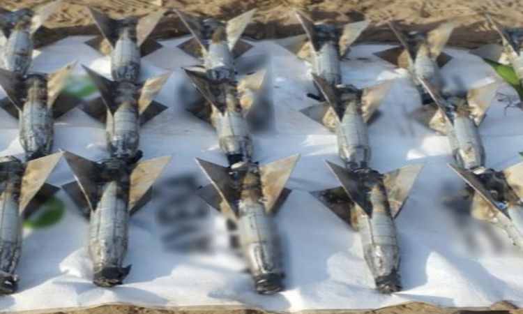 Más de 2 mil personas detenidas en Operación Frontera Norte. Foto de SSPC