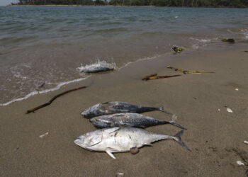 Derrame petrolero en Tabasco
