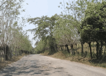 Fotografía: Cortesía para Quinto Elemento Lab