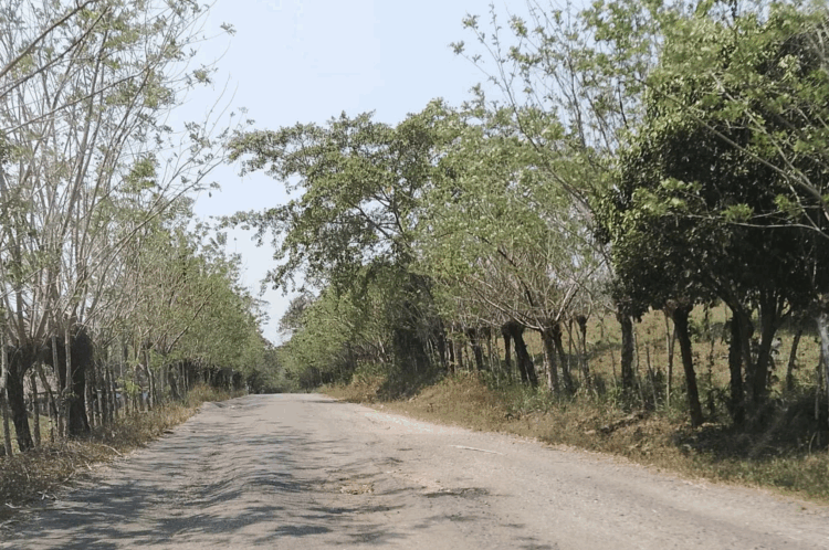 Fotografía: Cortesía para Quinto Elemento Lab