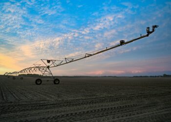 Distritos de riego 026 y 025 en Tamaulipas. Foto de Unsplash