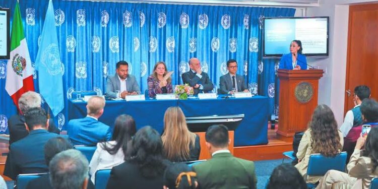 40 millones de jóvenes mexicanos con menos posibilidades de desarrollo profesional: ONU