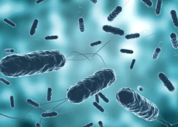 Descarta COEPRIS casos de cólera en Tamaulipas. Foto de web