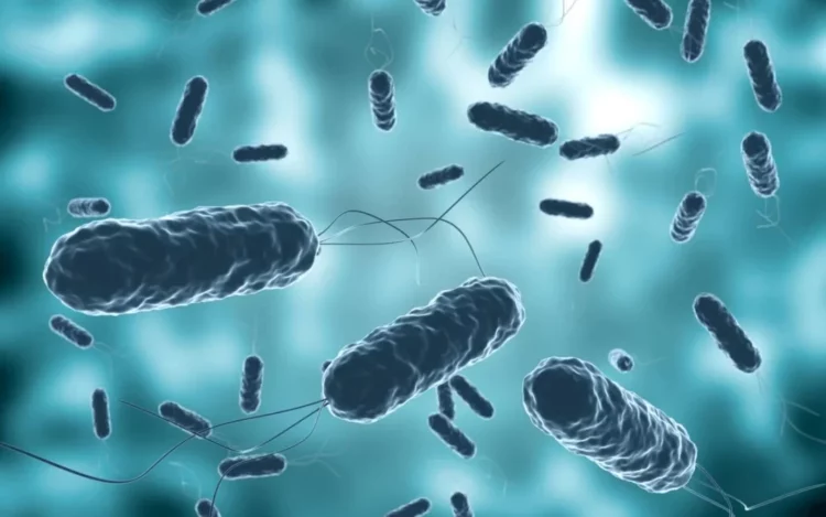 Descarta COEPRIS casos de cólera en Tamaulipas. Foto de web