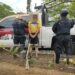 Detienen a sujeto con siete loros y un arma en Soto La Marina. Foto de Guardia Estatal
