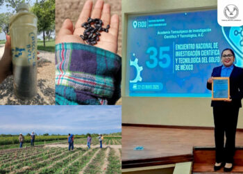 Elabora estudiante de la UAT bioherbicida para cultivos de frijol