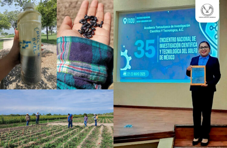 Elabora estudiante de la UAT bioherbicida para cultivos de frijol