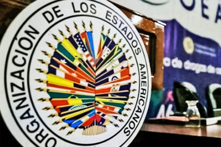 Organización de Estados Americanos (OEA)