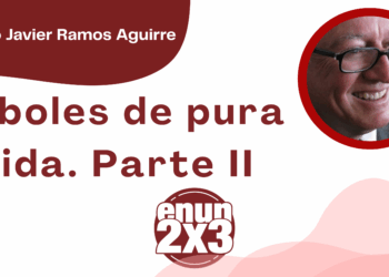 Por Francisco Javier Ramos Aguirre | Árboles de pura vida. Parte II